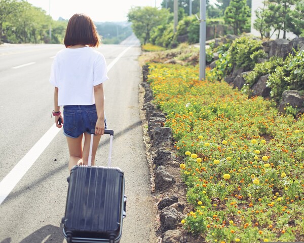[Travel here tourist; Keyword search ‘Jeju’: Credit to Pixabay]