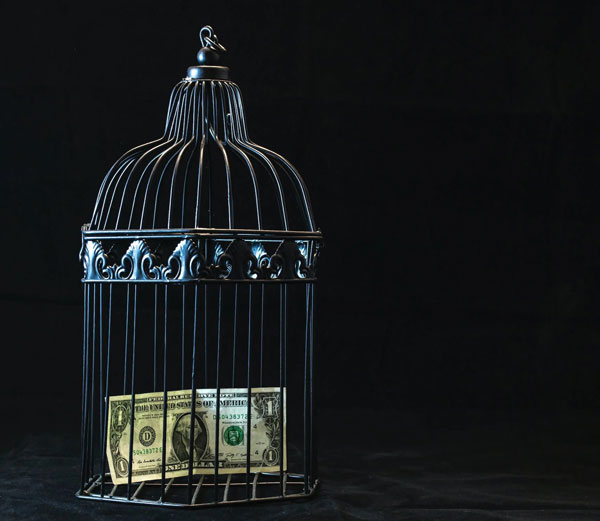 [Photo of Black Steel Pet Cage With One Dollar, photo credit to Pexel]