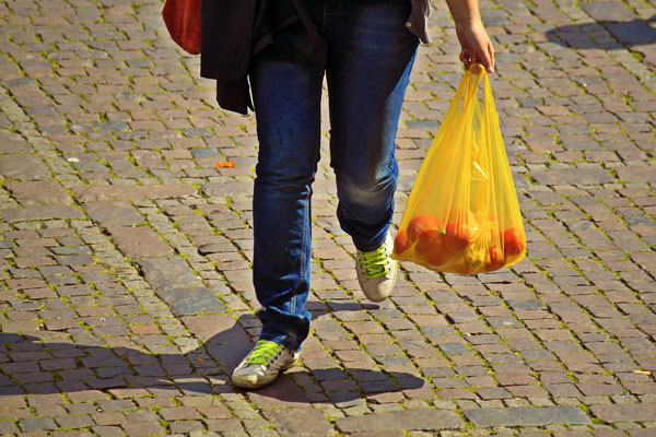 [Groceries in plastic bag. Photo credit to Pixabay]