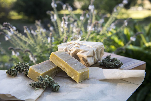 California Startup Savor introduces innovative animal-free butter using ...